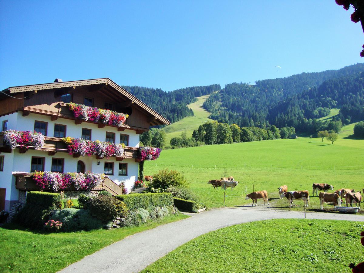 Sixenhof Apartment Niederau Exterior photo